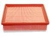 Filtro de aire Air Filter:6000619767